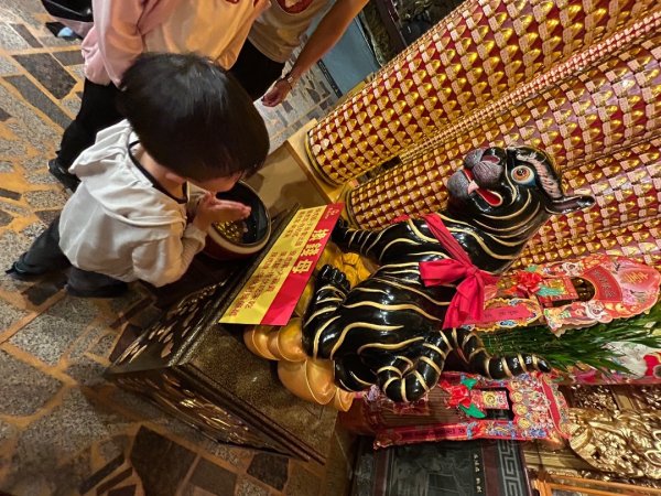 擁抱自然健走趣2843906