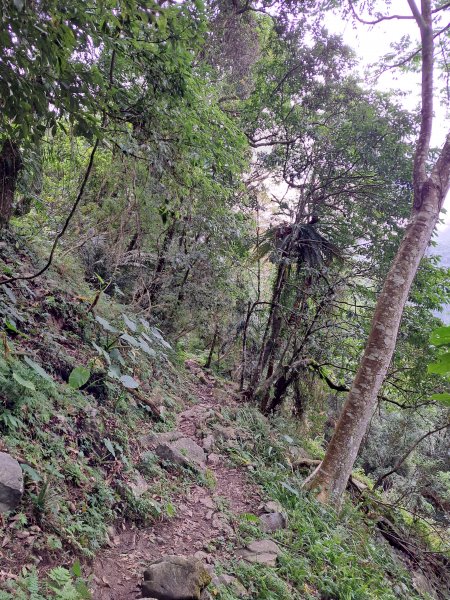 砂卡礑二日行D2：大同部落→千里眼山→砂卡礑步道→小錐麓步道→遊客中心202312032368717