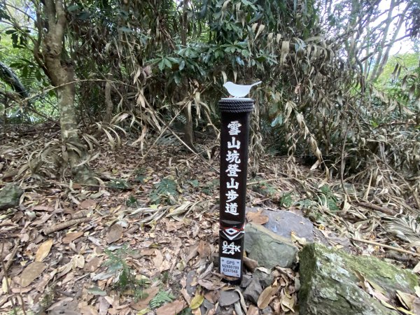 《雪山坑登山步道｜巨人之手森林秘境 Xueshankeng Hiking Trail & Giant2971078