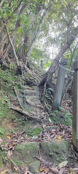 淡蘭古道中路1+2段連走（約30K）2625950