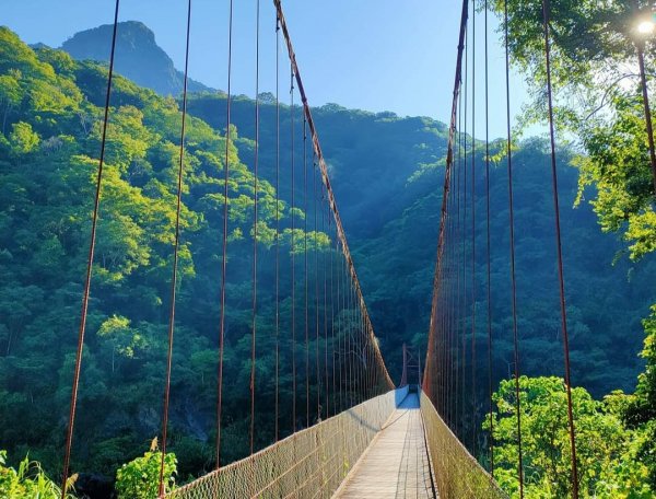 🔹【苗栗 | 虎加縱走】🔺 虎山 （三等點）➡️ 加里山（一等點）