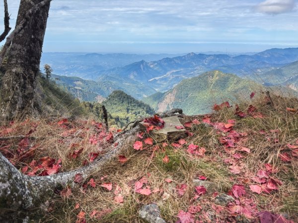 鳶嘴稍來步道賞楓季 ，大雪山門票優惠到12/31！2969563
