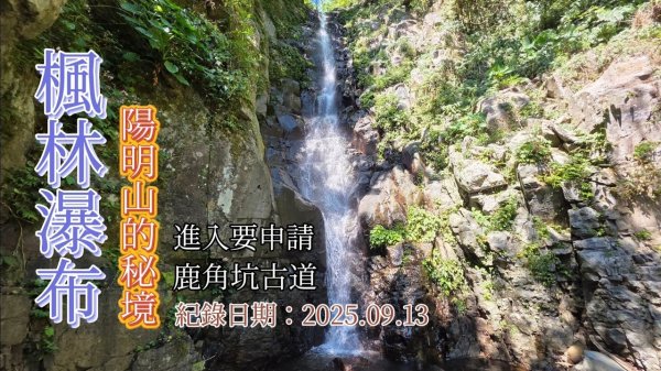 「楓林瀑布」,鹿角坑古道、鹿角坑溪,一條需要申請的陽明山秘境
