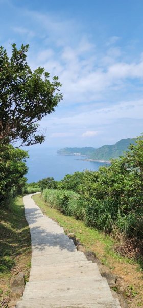 烈日當頭的南子吝2813163