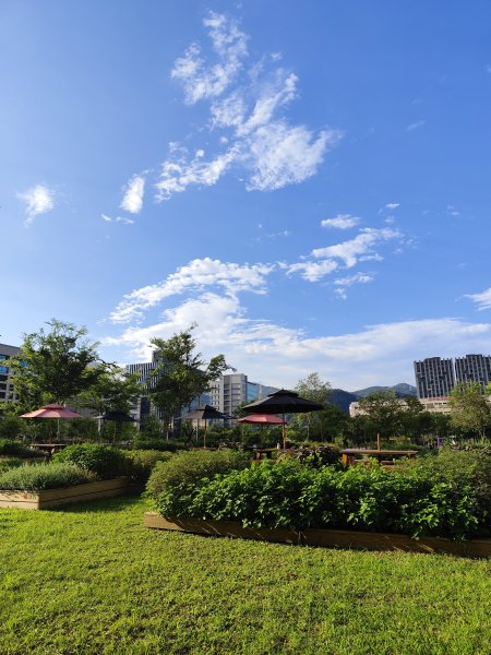 大港墘公園、大安森林公園、大稻埕、天母【走路趣尋寶】【臺北健走趣】2554241