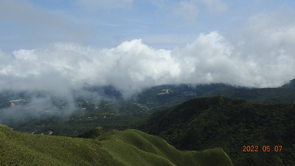 雲山水花鳥蝶 - 天龍國阿伯的日常5/71704631