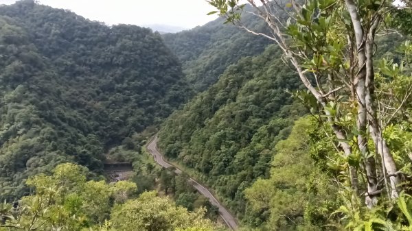 坪林區仁里坂橋-仁里坂山-金瓜寮土地公-仁里坂橋O型3132820
