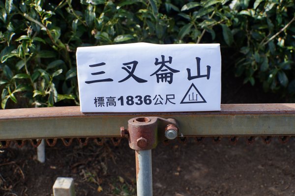 南投 鹿谷 龍鳳山、龍鳳峽山、三叉崙山、水桶寮山、內樹皮山、羊頭崙山、志騰山、竹崙山、溪頭山2962314