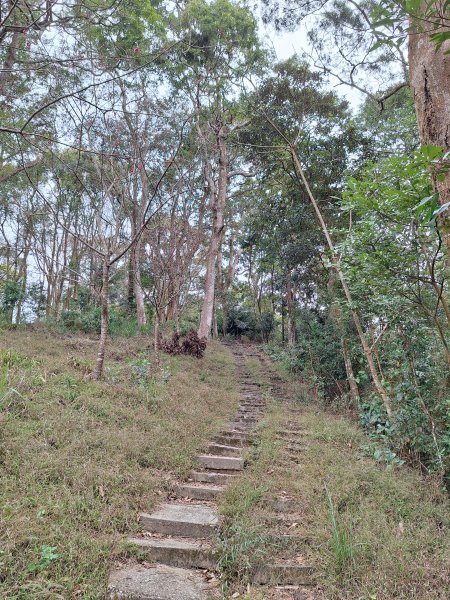 樟之細路RSA45(協雲宮至沖庫山來回)+和興山202501312702845