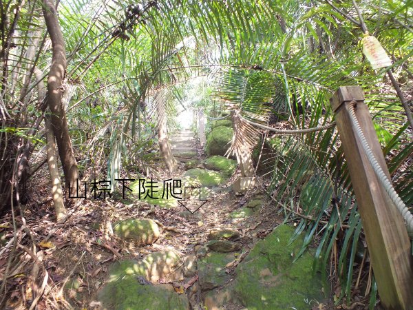 三峽區鳶尾山+福德坑東峰+福德坑山+鳶山彩壁+五十分山+壽山+龍山寺2775750