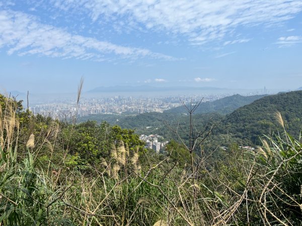 20250229_台北天際線第十段（中和-土城）2855536