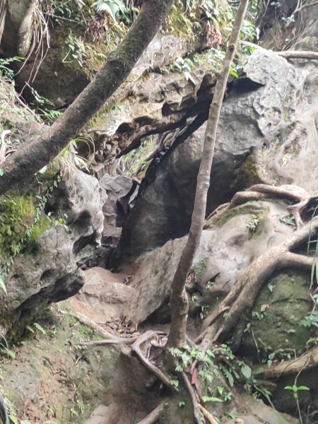 微笑山線：【二格山系】皇帝殿稜線段2955966