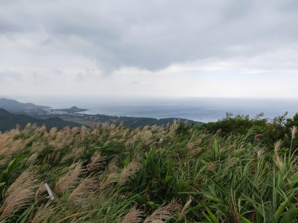 小百岳(81)-大山母山-20201017~【2020全家總動員~28分之25】1690050