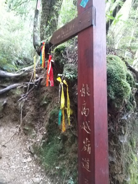 190414-奇萊南峰、南華山1650147