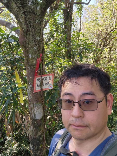 20260214磨碧潭山(坪林上三角崙山失敗中途撤退)回程順遊大尾山步道鬼子瀨尖3010925