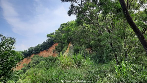 《台中》颱風前夕｜大肚環保公園登山步道(北段)202409292606726