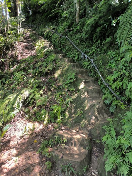 20251004微笑山線：【二格山系】筆架連峰段2904525