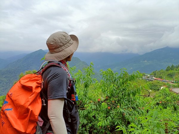 鵝公髻山採桃趣-202505302865301