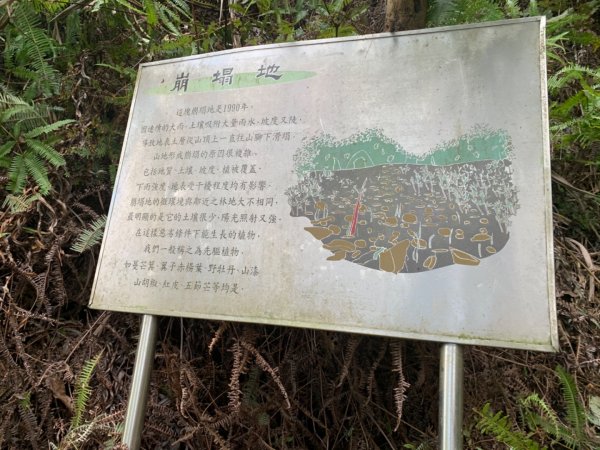 惠蓀林場渉水步道與山嵐小徑1043105