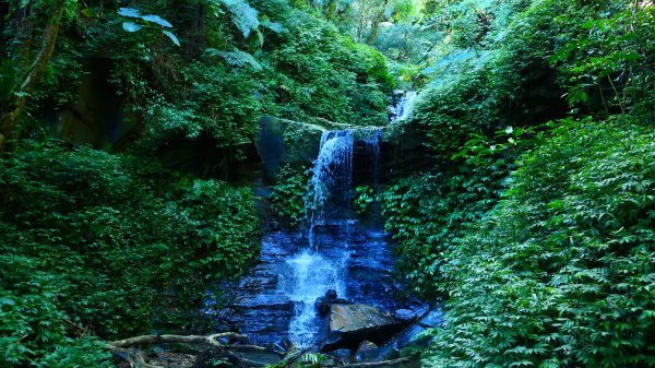 大尖山瀑布2932166