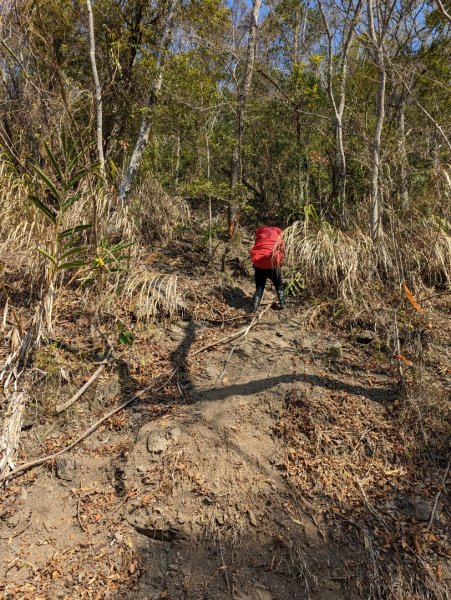 魔界腕山、南面山、獅子尾山2050923