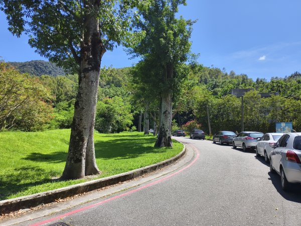 [漫遊縱谷 愛在花東-07/10] 2025_1012 花蓮鯉魚山步道群2913397