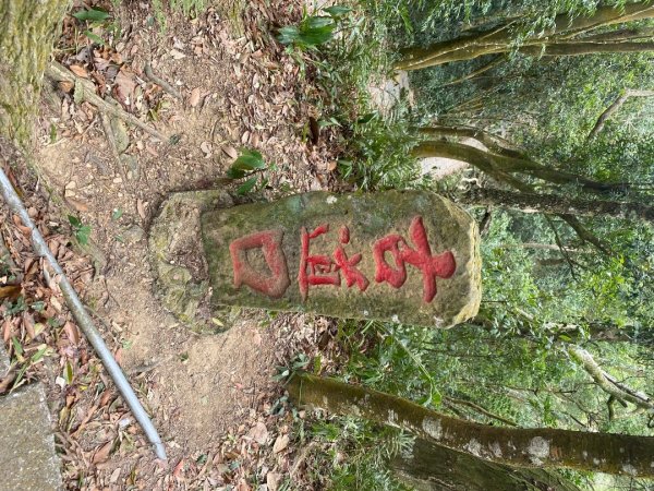 苗栗獅潭-鳴鳳古道2619029