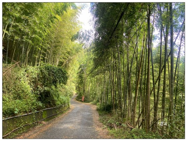 樟空倫山、大崙頭山、貓冬望山、民眾坪山 連走2839037