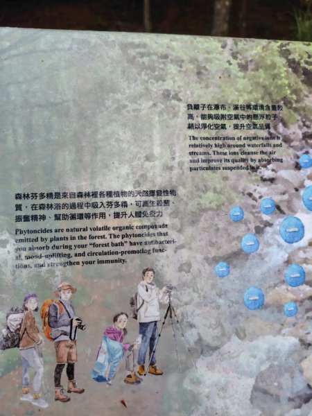 稍來小雪山國家步道、船型山、鞍馬山、鞍馬山東北峰、天池、雪山神木2799946