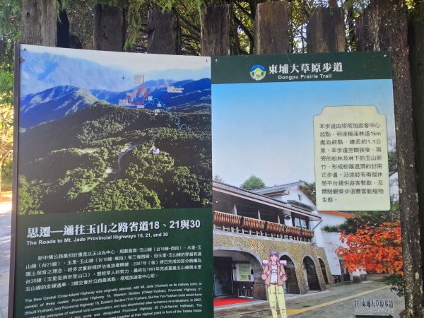 塔塔加步道（大鐵杉登山步道）2883093