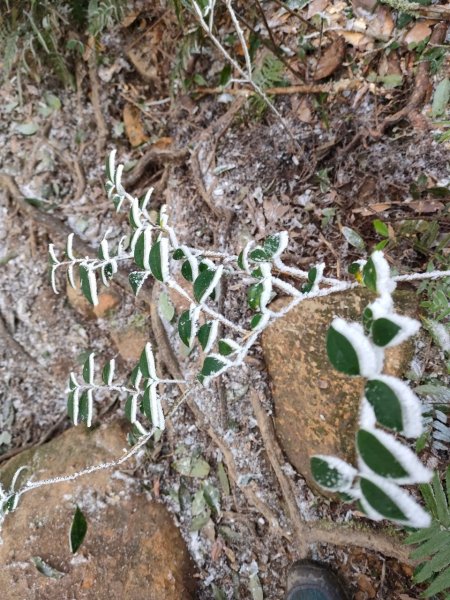 雪季北得拉曼2956426