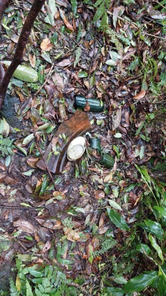 陽明山後花園，百年靜美牧牛山徑，古道草原精華連走2787724