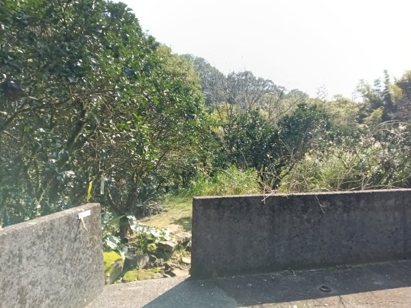 坪林區楣子寮尖+土地公遺址+火燒寮古道+枋山坑古道+枋山坑崙O型2985690