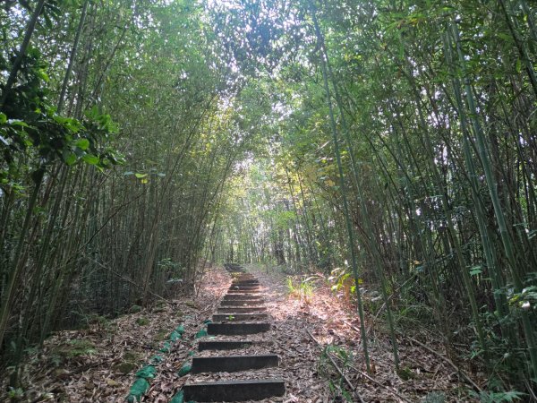 鐘樓古道、獅潭觀魚步道3127294