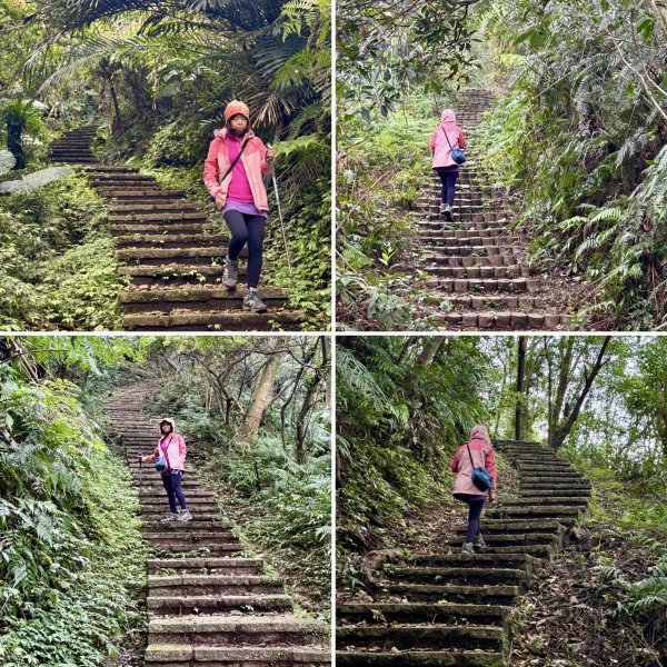 土庫岳-202503172770504