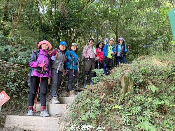 【高雄桃源】朝聖壯闊山景之南橫三星。 編號72百岳~塔關山登山步道2096650