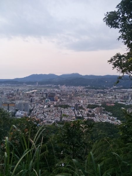 南港山縱走親山步道(拇指山、南港山、象山、九五峰)1820278