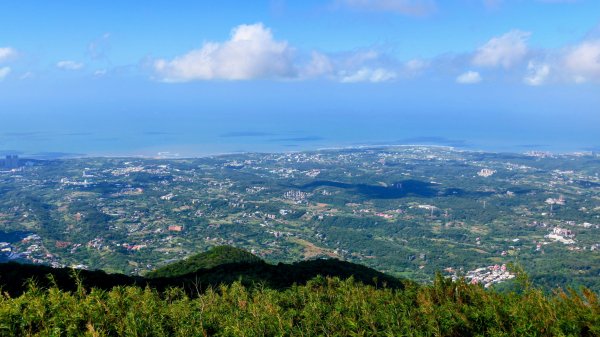 向天蝦不蝦2936830