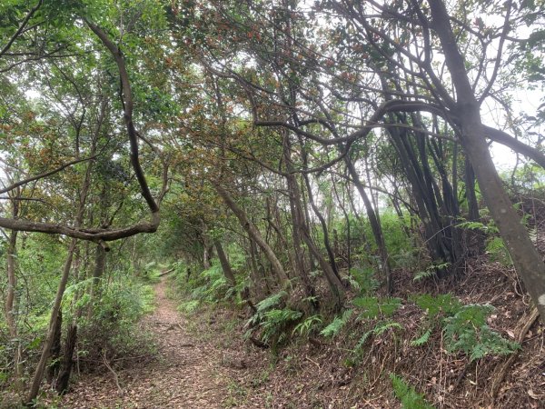 瑪陵坑群峰（七堵車站O型）2760796