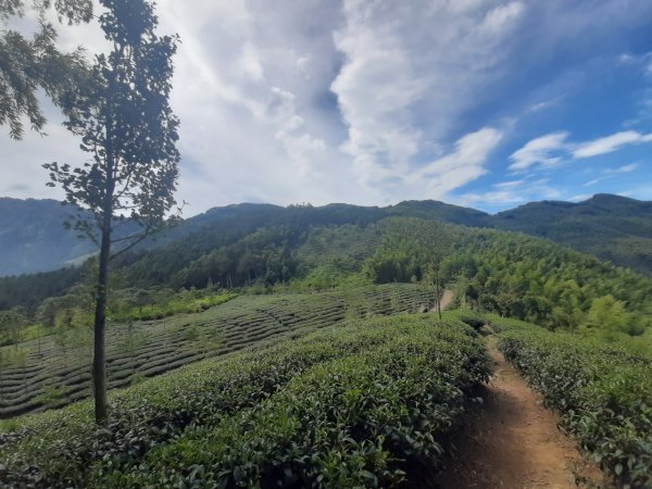 溪頭山、竹崙山、志騰山3山連走1484356