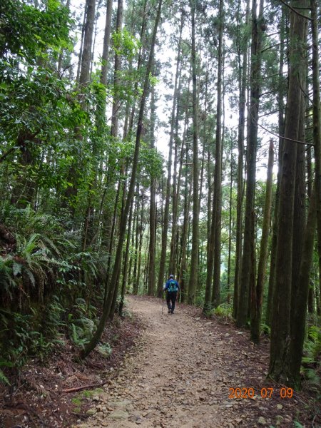 橫嶺山自然步道2020.07.091029062