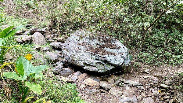 棚集山(小百岳#78)2800391