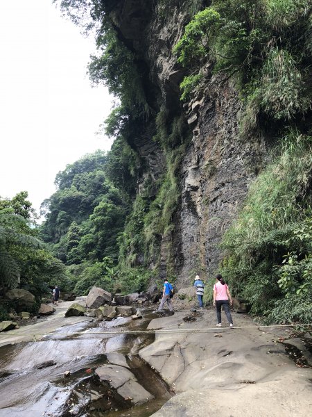 2018.05.01汐止姜子寮步道1005358