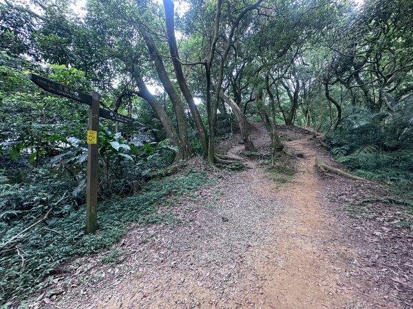 大棟山系第一段、第二段一起走2857263