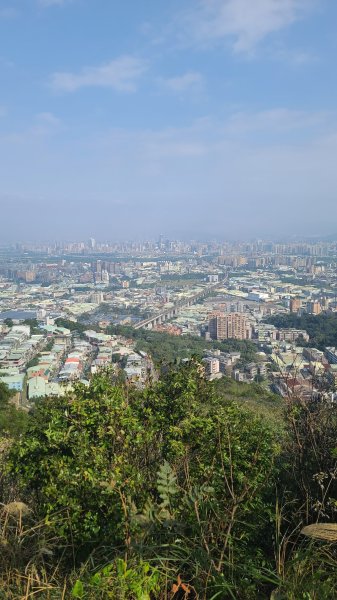 2025-0204 鶯歌_大凍山_三角埔頂山_迴龍2707930