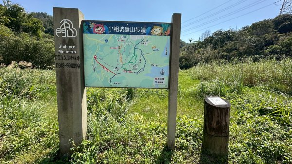 樟之細路三坑到關西3015340