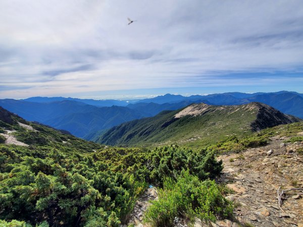 玉山後四峰-東小南山1111224