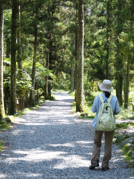 《宜蘭》植物博物館｜員山福山植物園201805182889165