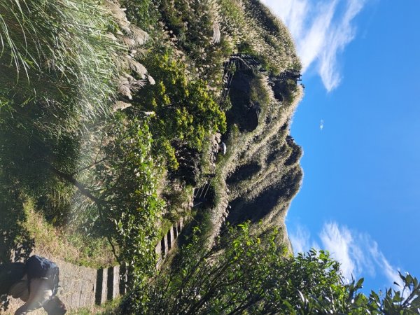 小百岳集起來大屯主峰，七星峰主峰，東峰步道3135734
