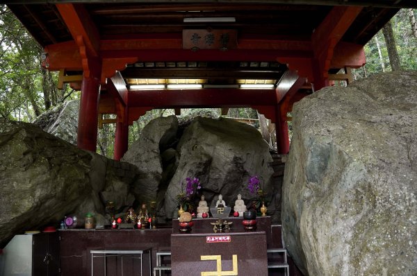 八仙山森林步道2865240